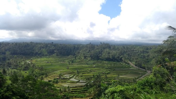 Experience Bali