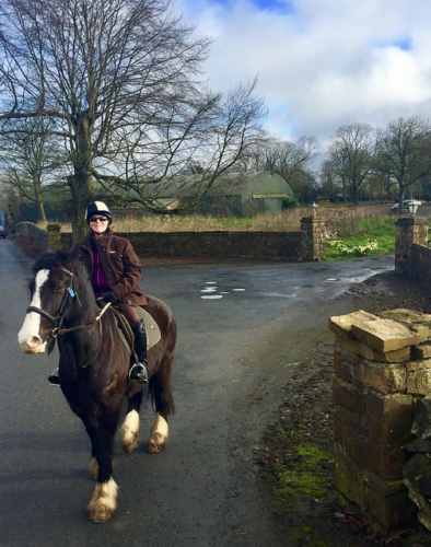 ballyhannon equestrian center, irish cob, horse trekking, nancy d. brown, horse riding county clare, horse riding ireland