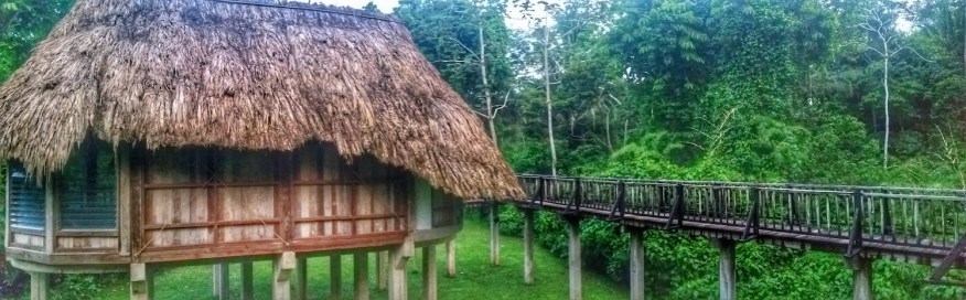Belize Jungle 1500