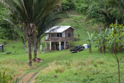 Belize Jungle 6 (1) Belize Jungle