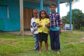 Belize Jungle 6
