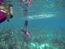 Belize Snorkeling Silk Cayes Placencia2 Belize Snorkeling Silk Cayes Placencia