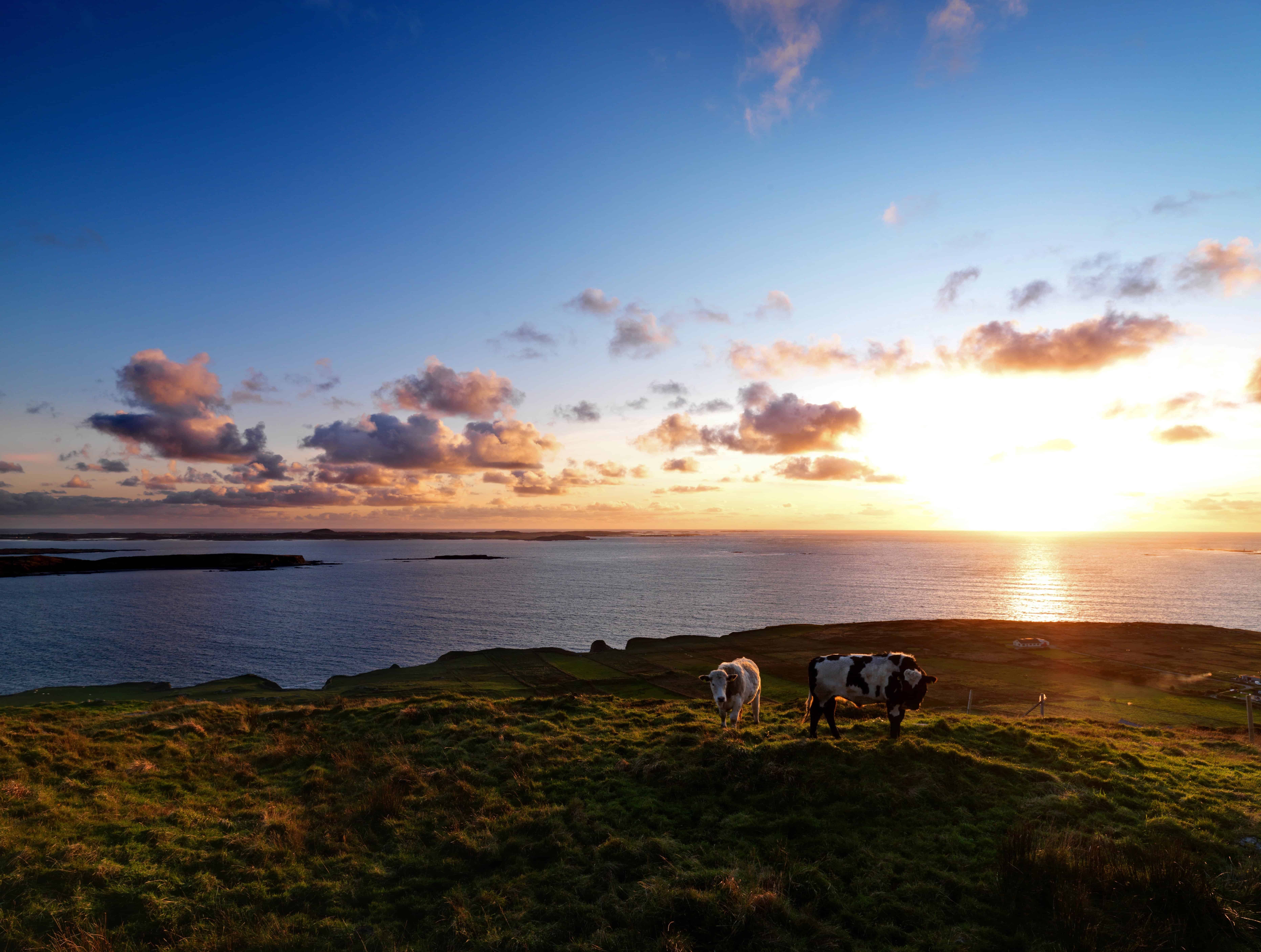 Gaelic Irish Language