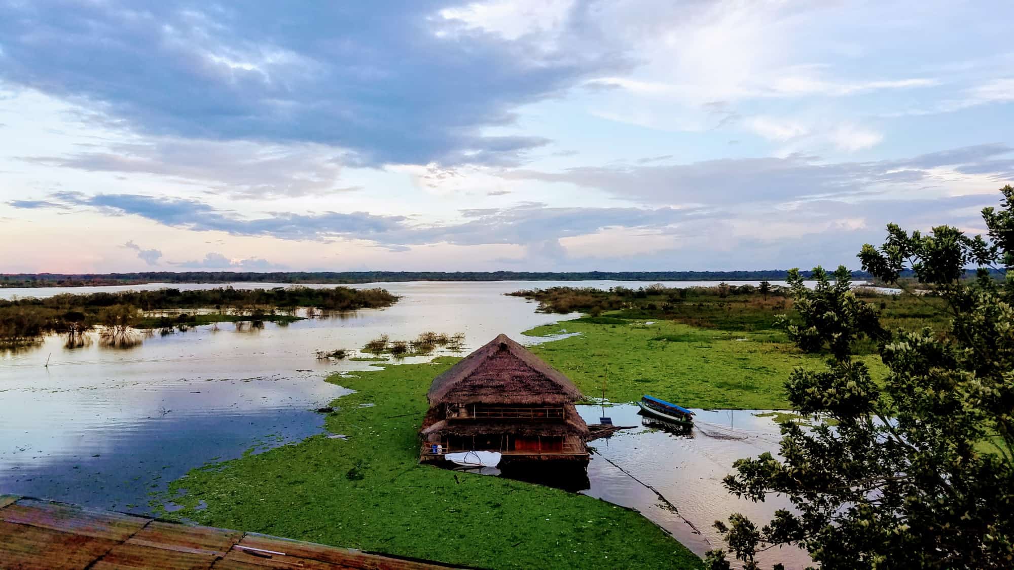 Ayahuasca Ceremonies In The Peruvian Amazon Jungle Can Change Your