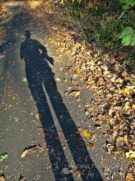 long shadow