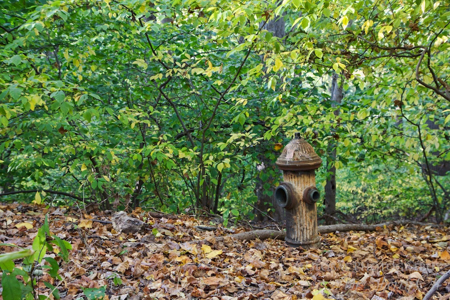 fire hydrant abandoned