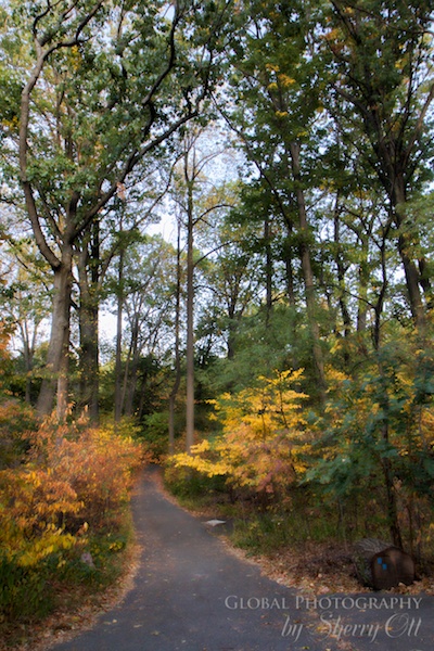 Inwood park pathway nyc