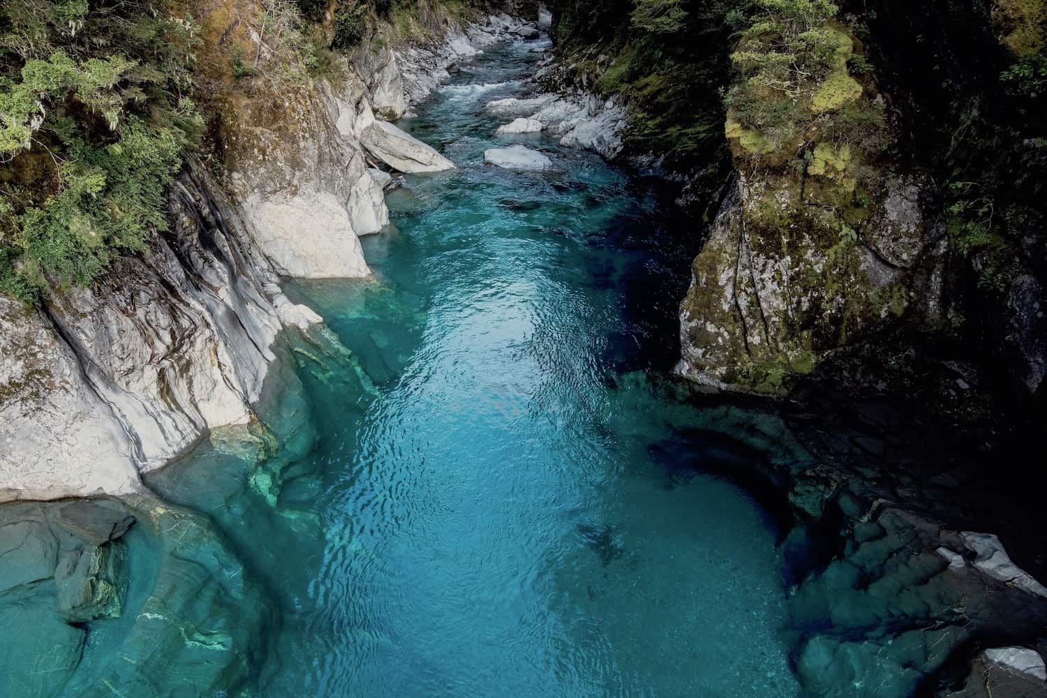 Franz Josef Glacier Walk