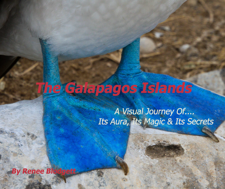 The Galapagos Islands