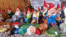 Garden Gnome Museum Germany 2 Gnome Museum Germany