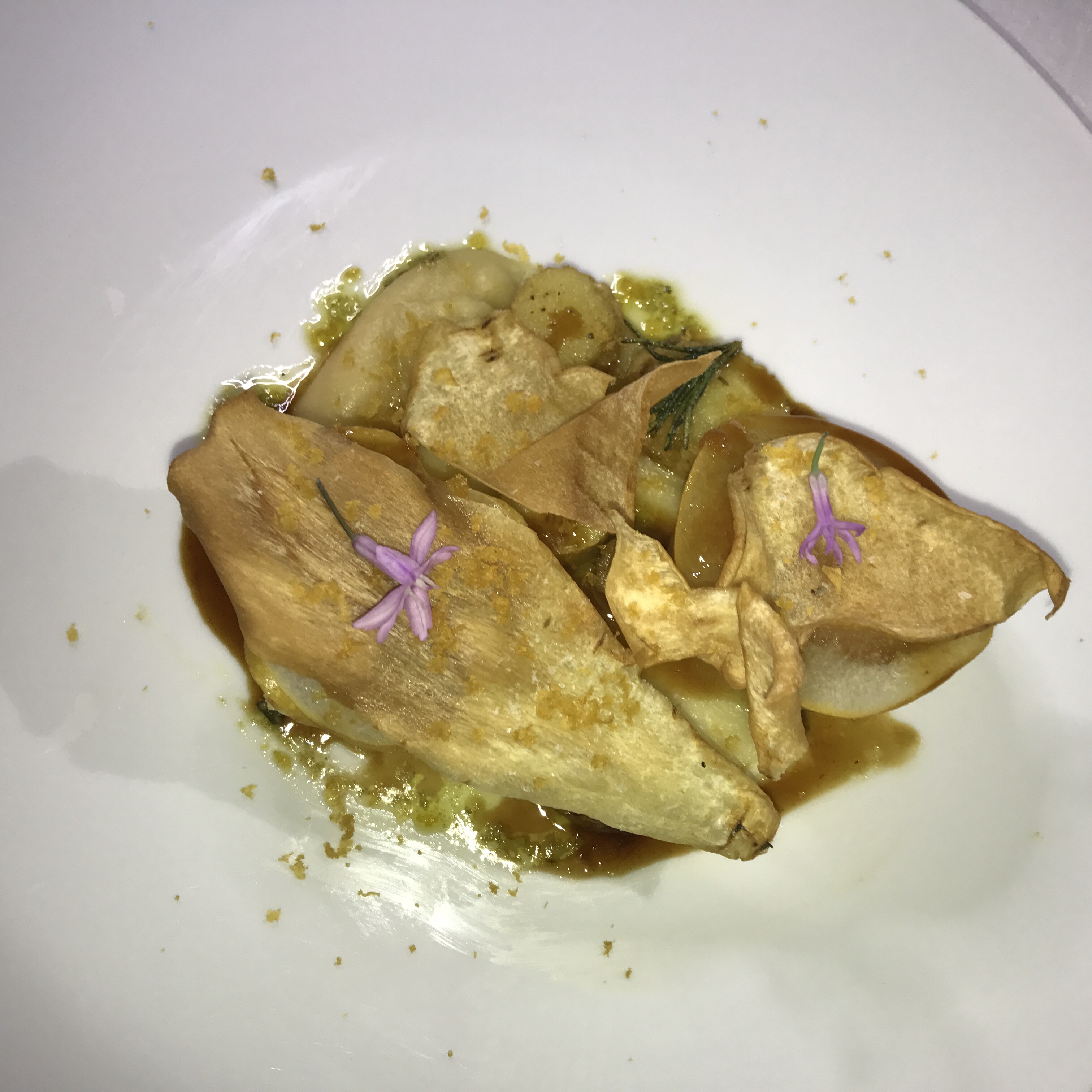 georgie scallops