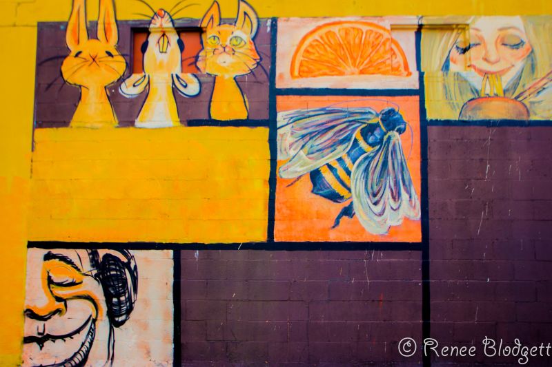 Graffiti near Sun Studio Memphis (4)
