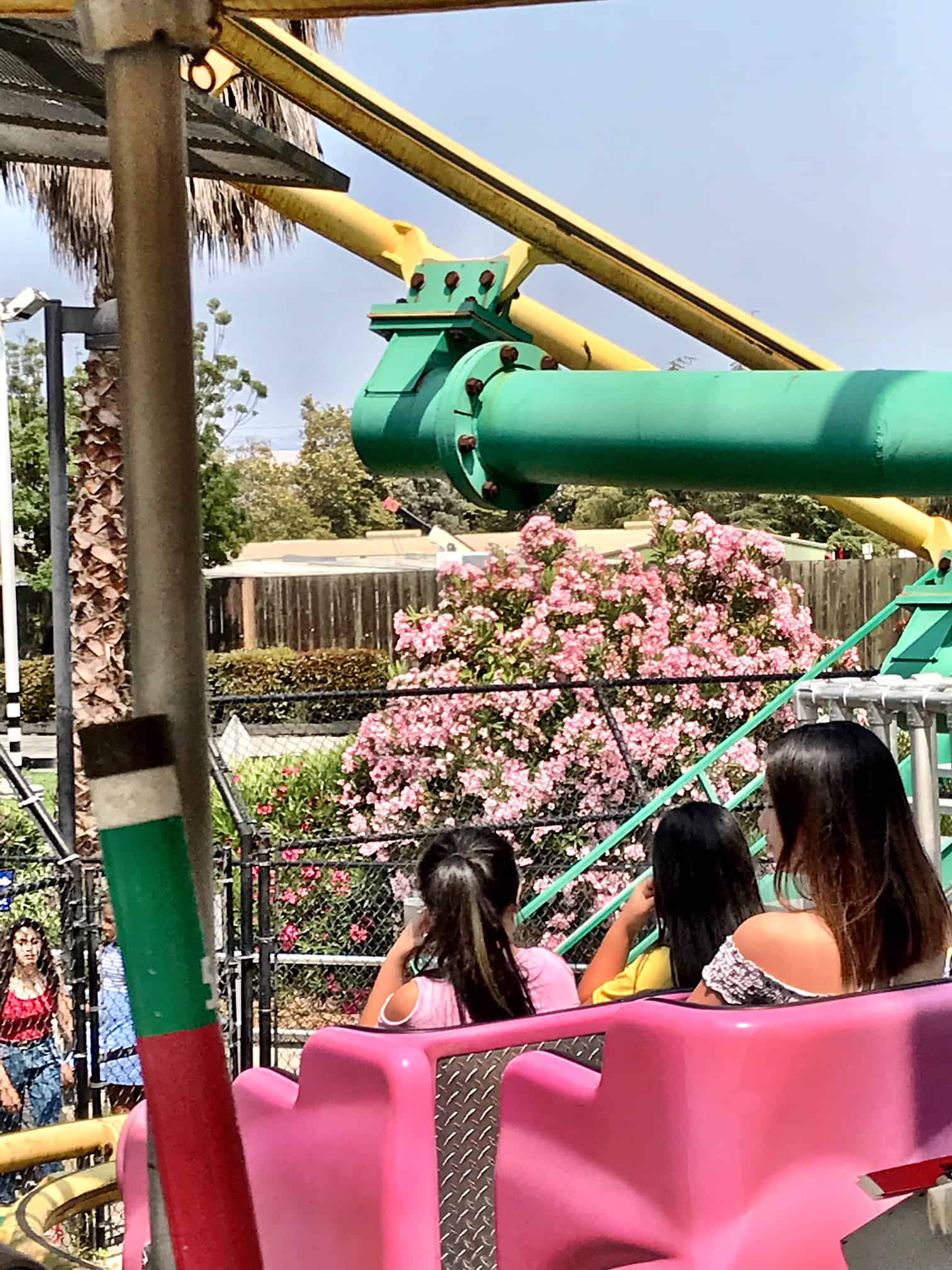 Rollercoasters Great America Family Fun
