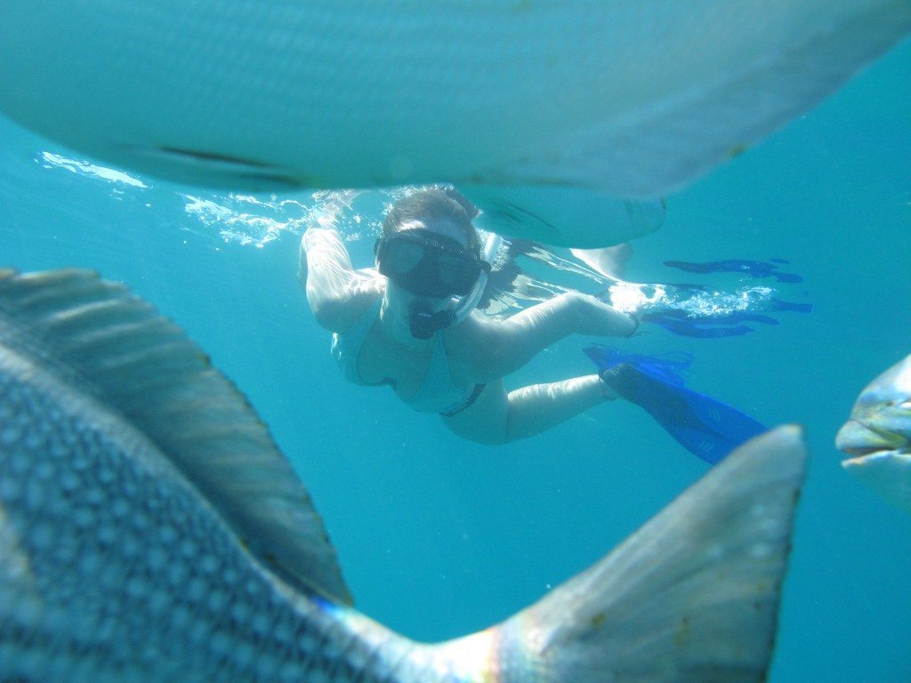 IMG 6587 1024x768 Highlights from Los Cabos