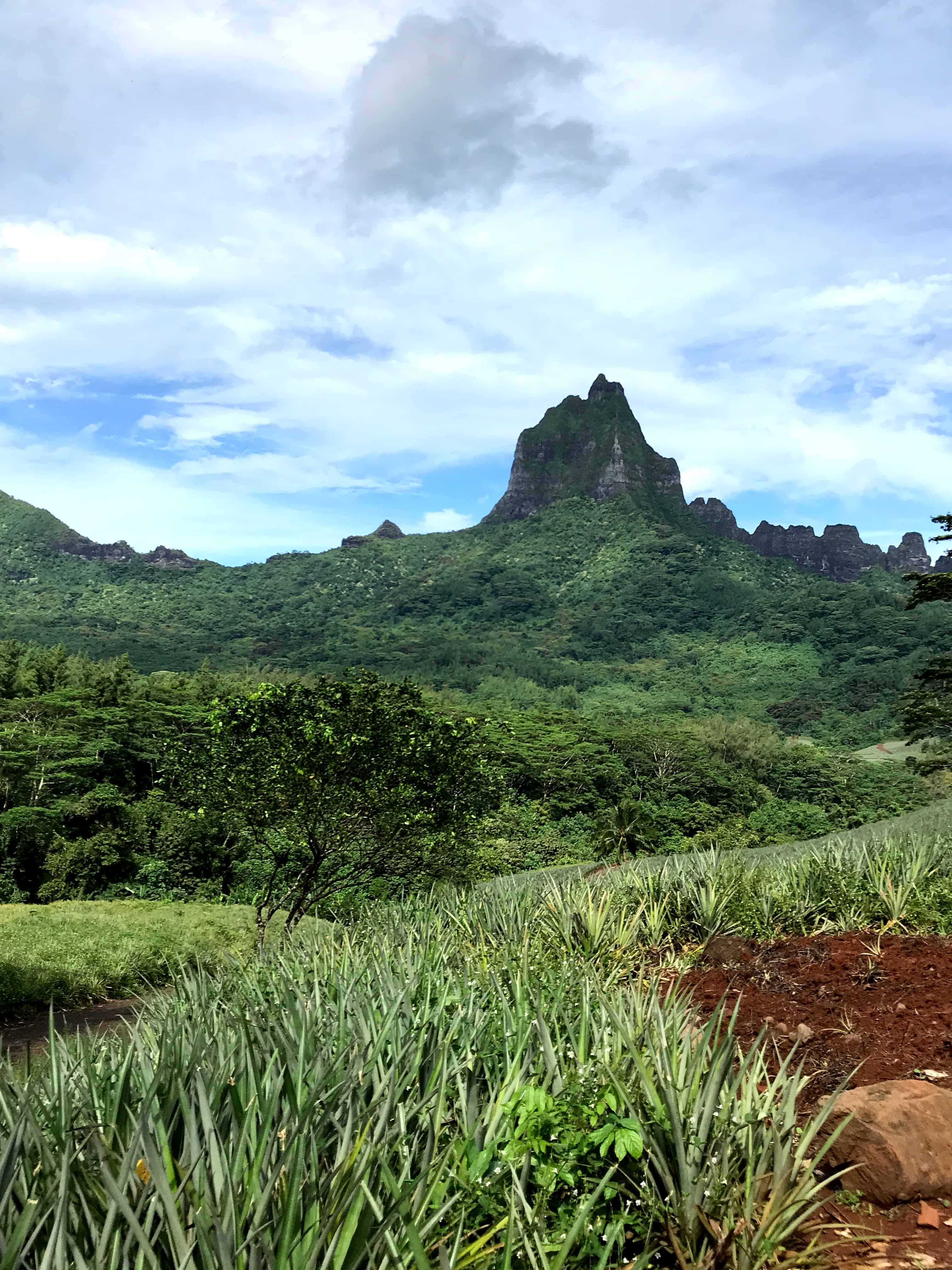 Mo'orea travel guide