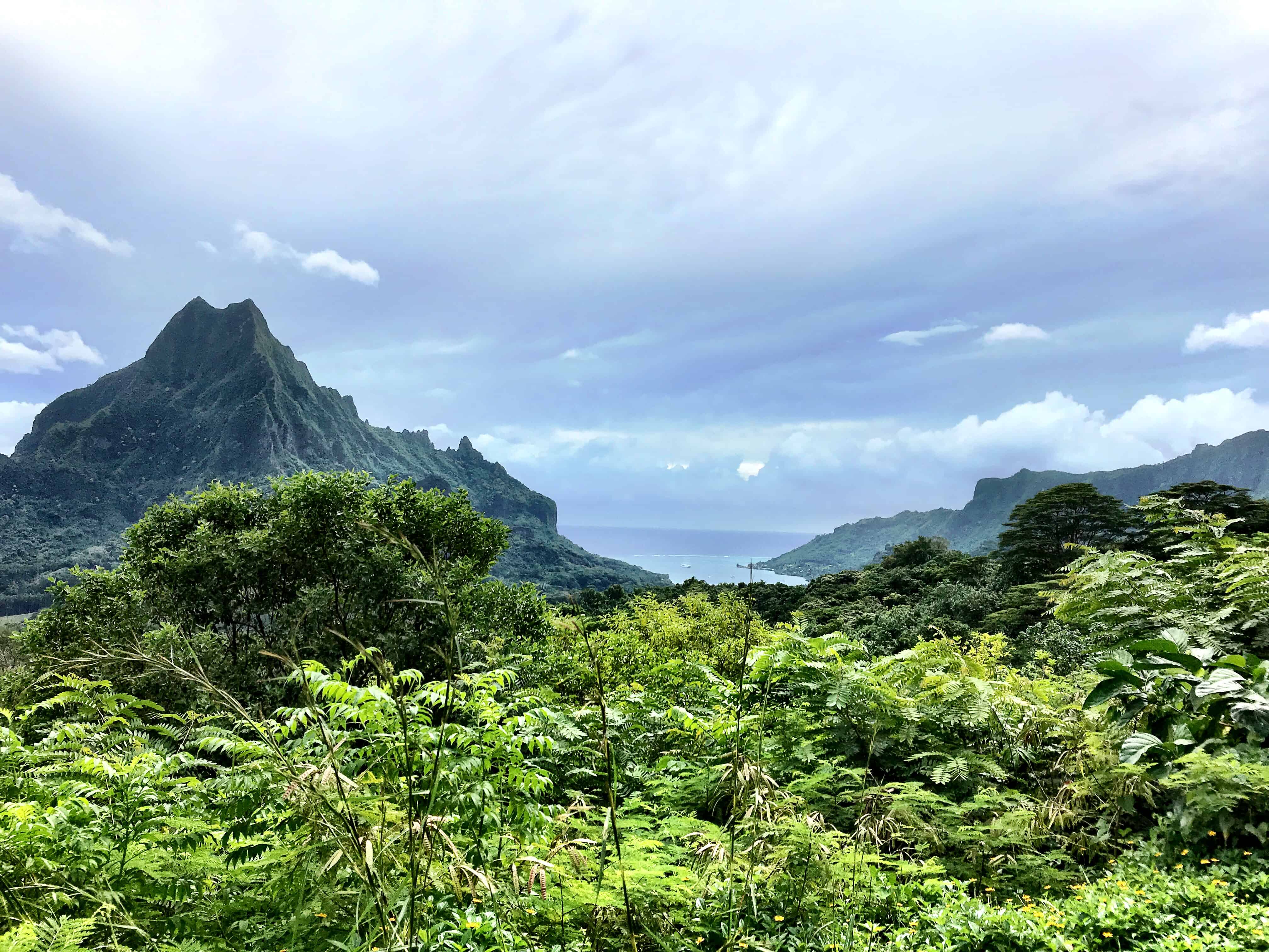 Mo'orea travel guide
