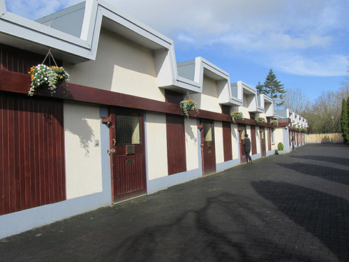 stallion stalls, horse stables, irish national stud, horse farm county kildare, ireland