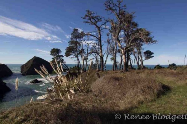 Mendocino Trip Dec 2015 (133)