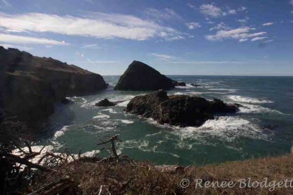 Mendocino Trip Dec 2015 (140)