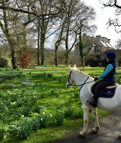 mount juliet, kilkenny estate, horseback riding mount juliet, equestrian holiday mount juliet
