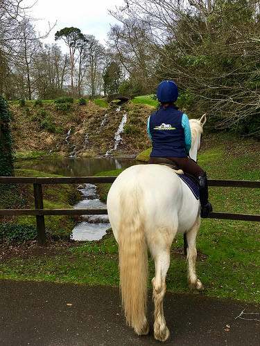 waterfall, kilkenny riding holiday, mount juliet equestrian centre, irish draft horse