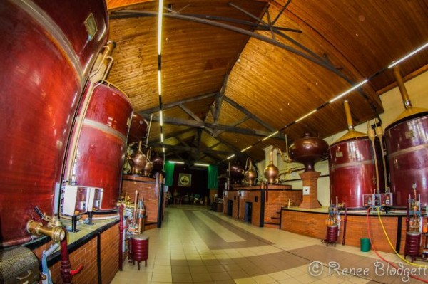 Normandy Distillery (1)