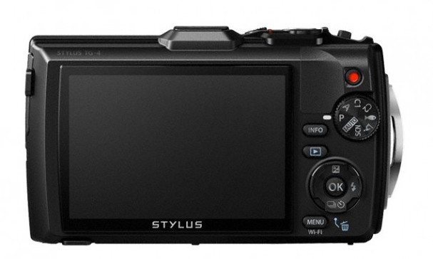 Olympus Black-Back