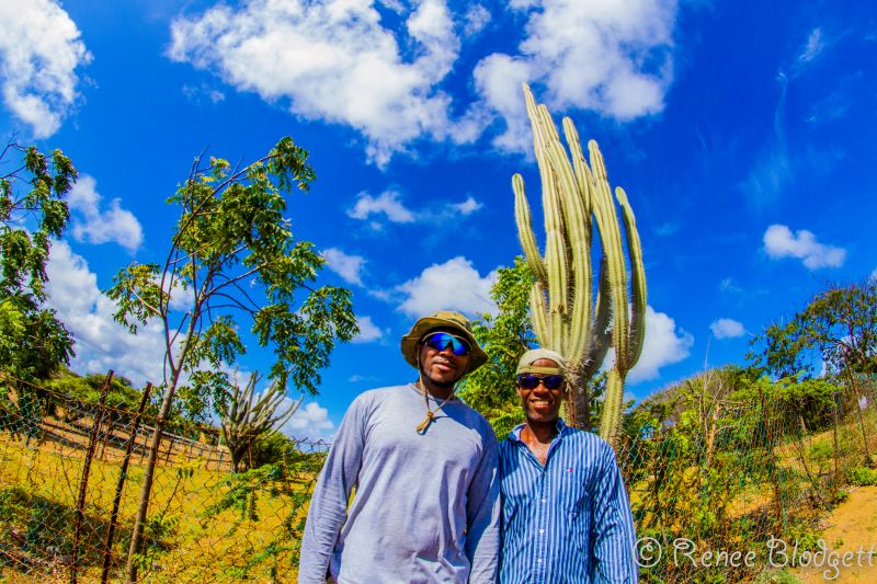 Ostrich Crocodile Farm (122)