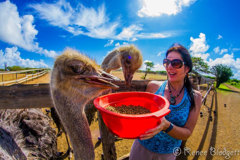 Ostrich Crocodile Farm (83)