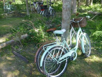 Hiring Bicycles at Słowiński National Park