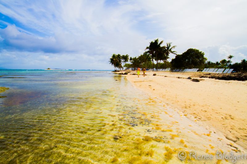 Palomino-Island1 (18)