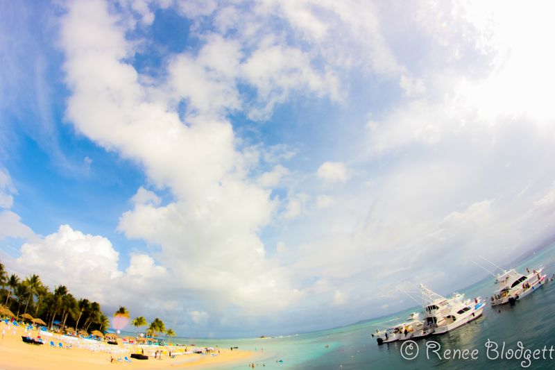 Palomino Island2 (101)