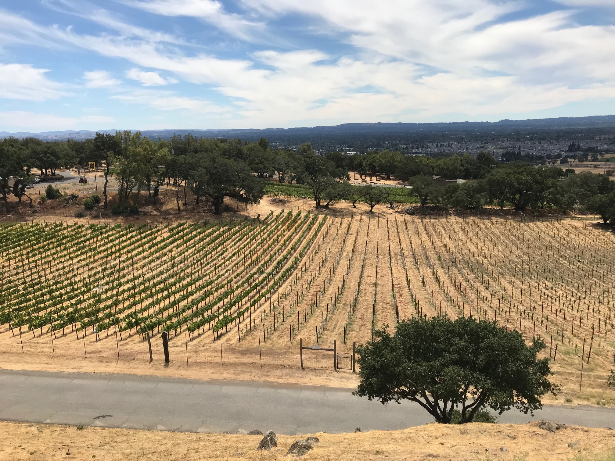 Fun-Packed Things to Do & Taste in Sonoma