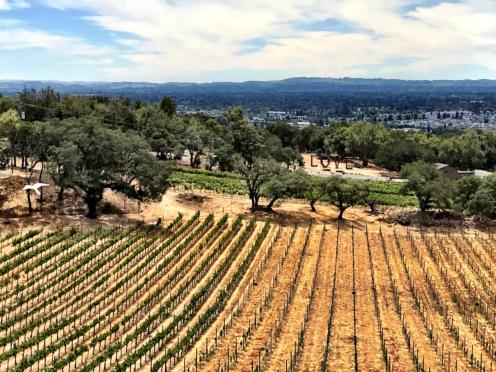 Fun-Packed Things to Do & Taste in Sonoma