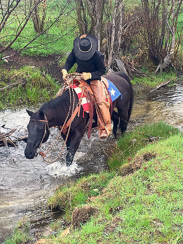 dustin call, paws up ranch, the resort at paws up, horseback riding, trail ride, cattle drive, greenough, montana