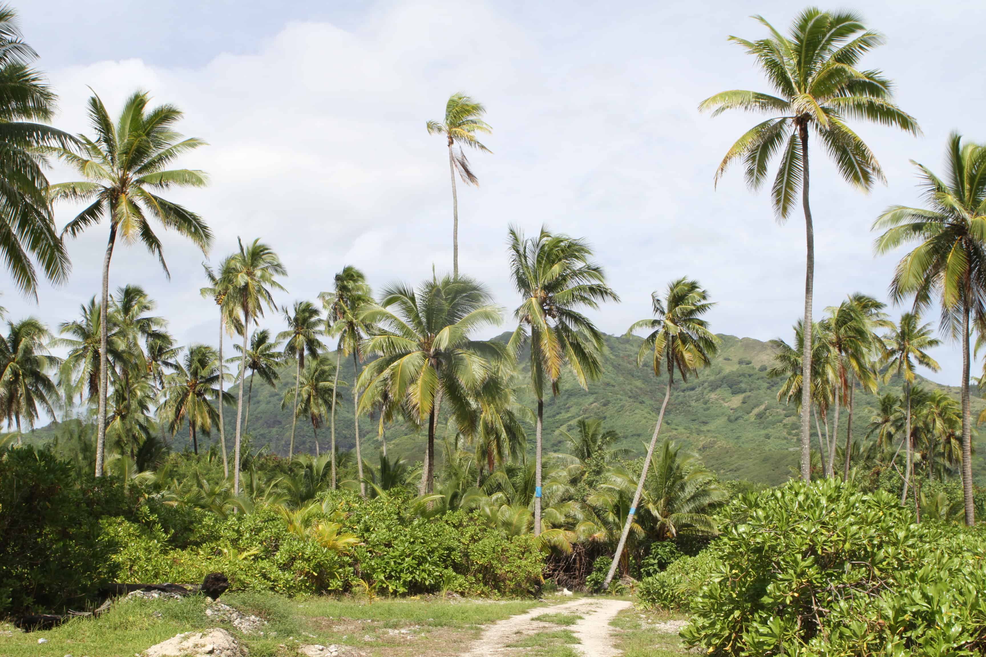 mo'orea travel guide