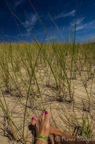 Provincetown Dunes Tour (135)