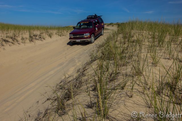 Provincetown Dunes Tour (138)
