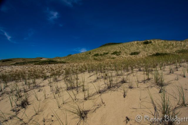Provincetown Dunes Tour (3)