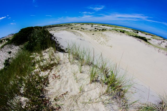 Provincetown Dunes Tour (33)