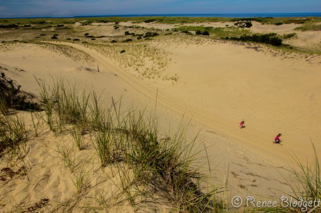 Provincetown Dunes Tour (34)