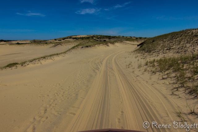 Provincetown Dunes Tour (85)