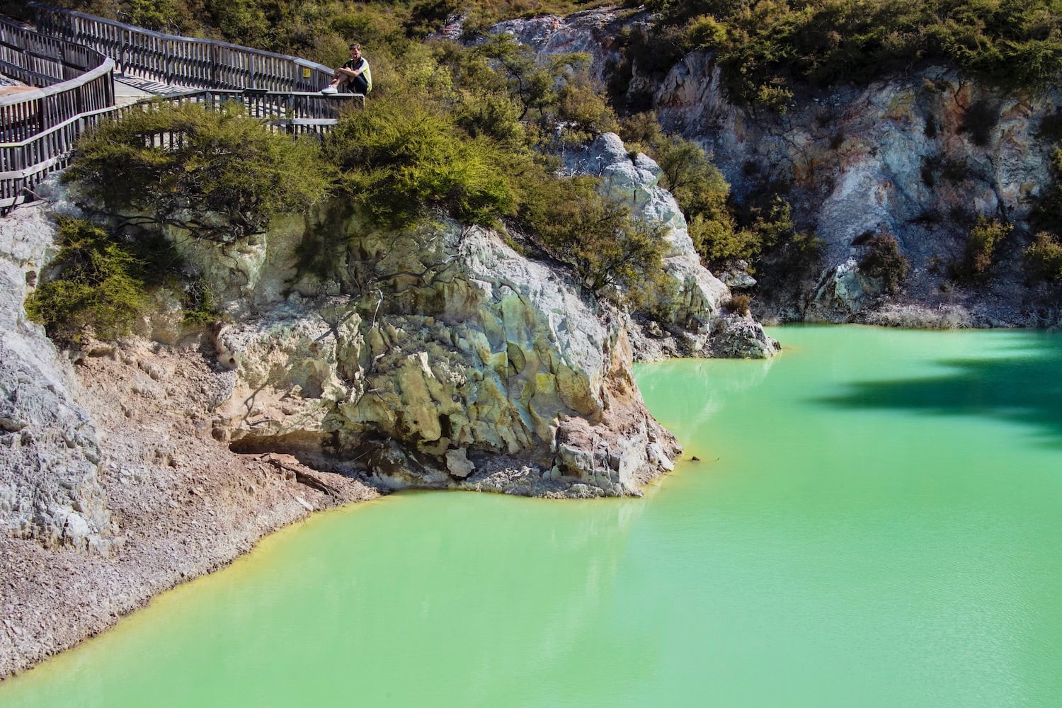 New Zealand’s North Island Journey • We Weblog The World