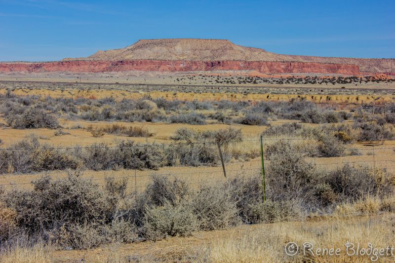 Route 40 NM to Arizona (1)