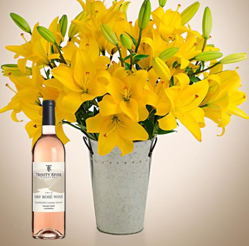 stargazer-barn-wines