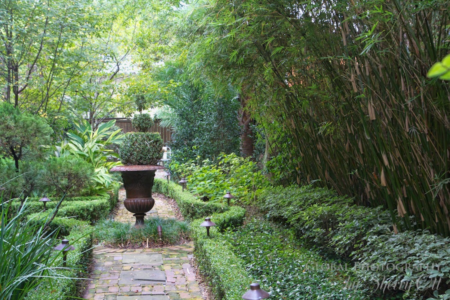 Savannah park