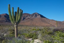 Sea of Cortez landscape 1 Sea of Cortez landscape 1