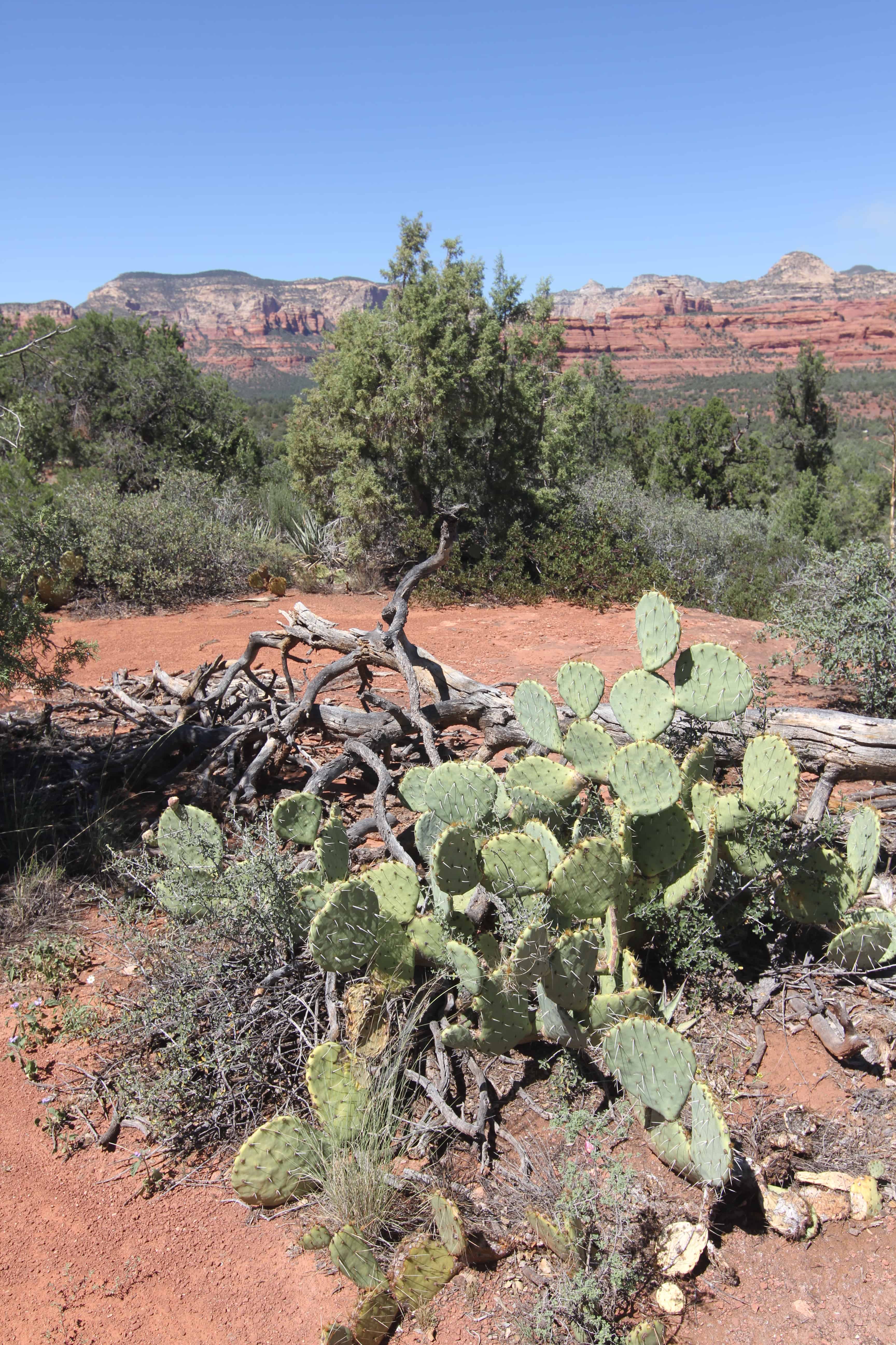 Sedona detours