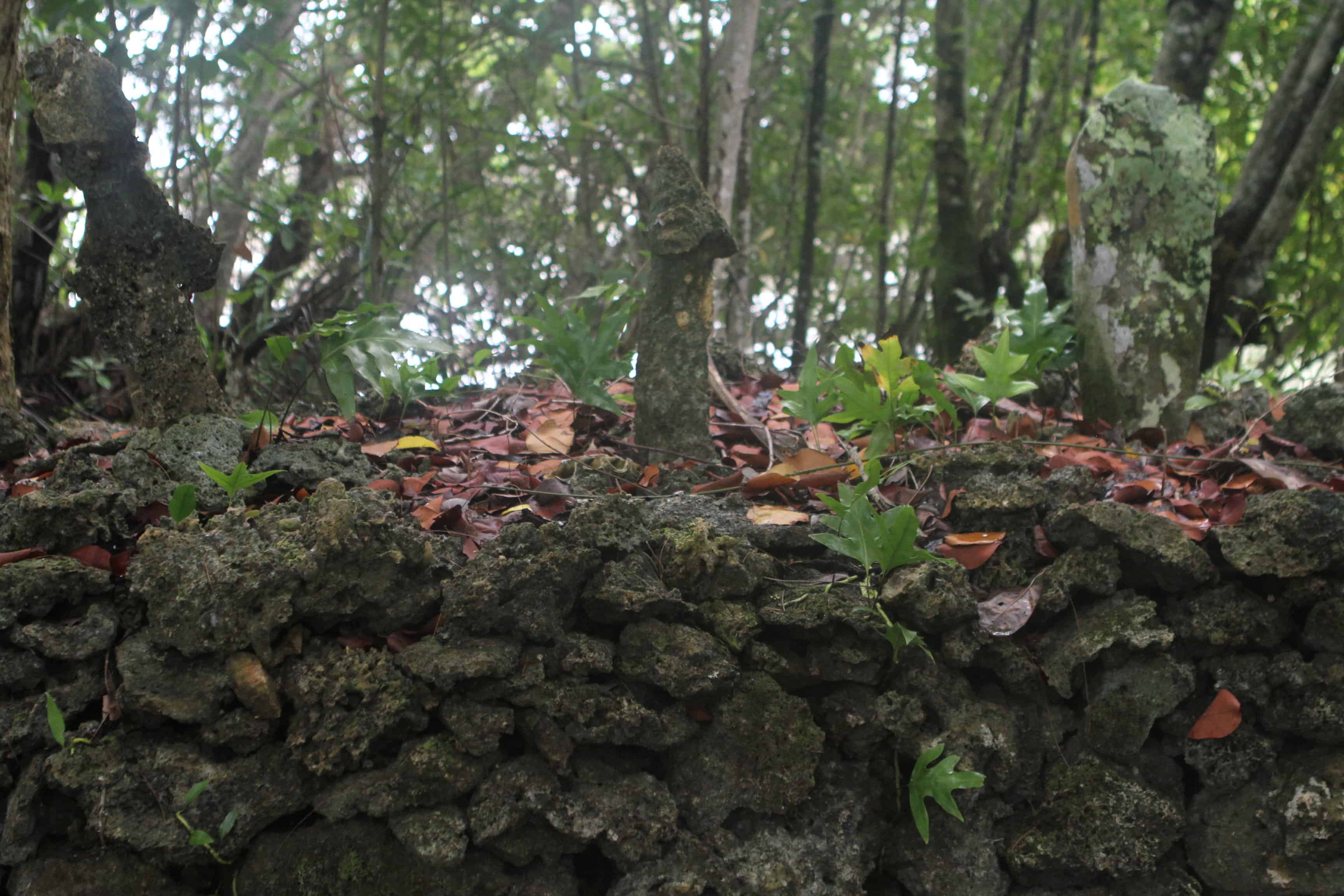 Solomon Islands
