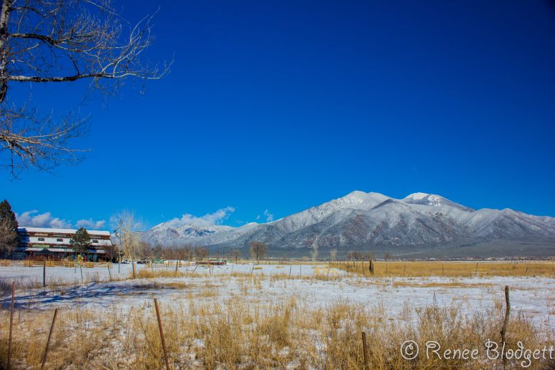 The Rio-Grande in NM (21)